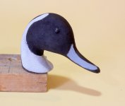 O 72 Pintail - head primed.JPG O 72 Pintail - head primed.JPG