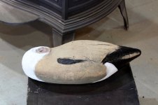 Q 72 Pintail - Black areras primed.JPG Q 72 Pintail - Black areras primed.JPG