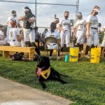 Shadow softball.jpeg