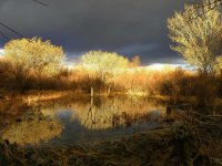 The Beaver Pond at the ranch.JPG