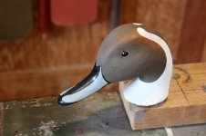 WM - 72 Pintail - head.JPG