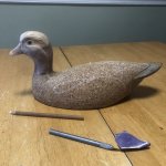 wigeon.jpg