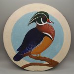 Wood Duck photo box pics  (7).JPG