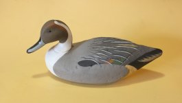 9 - 72 Pintail - DONE.JPG