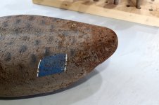 M - Haman - Hen Mallard tail reshape.JPG