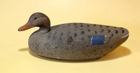O - Haman - Hen Mallard DONE.JPG