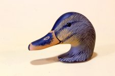 P - Haman - Hen Mallard bill and head.JPG