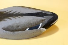 S - Haman - Drake Mallard back detail.JPG