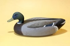 T - Haman - Drake Mallard full repair and repaint.JPG