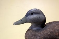 Unknown corker 02  - head closeup.JPG