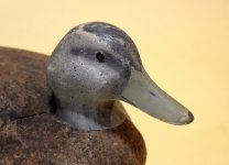 Unknown corker 02B - head closeup oblique.JPG