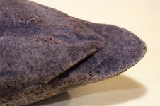 Unknown corker 05 - primary and tail detail.JPG