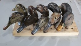 3b Amberman - Pintail and Black Duck heads for Beans Coastals.JPG