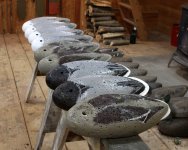 3 Beans Pintails and Mallards - partial base coats.JPG