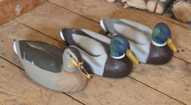 6 Herters Model 72 Mallards - 3 in process.JPG
