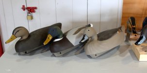 8 Wildfowlers - Black, Mallard, Pintail hen.JPG