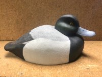G Williams - Broadie Beak Drake.jpg