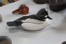AHA - 1983 Whistler Drake.JPG