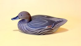 Wildfowler Pintail Hen - oblique portrait.JPG