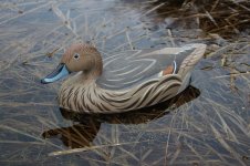 Wildfowler Pintail Hen - sea trial 1.jpg