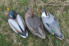 Wildfowlers Three - on land 2 - backs.jpg