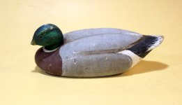 CWK Mallard - FULL oblique.JPG