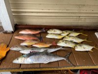 IMG_1280.jpg
