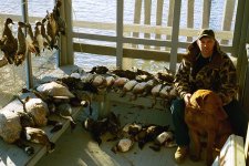 GreatfoxIsland2005.jpg