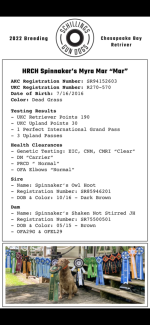 37D54617-D030-438B-BB26-A87558BE23EF.png