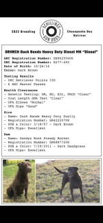 516271F2-EC2F-4683-AC4E-CC31BEBFB3AB.png