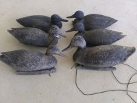 victor rubber d100.jpg