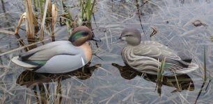 E Allen Greenwing Pair - sea trials.JPG