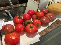 IMG_1780.jpeg