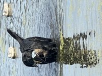 IMG_7415.jpg