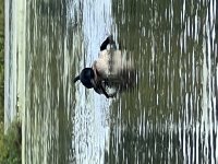 IMG_7411.jpg