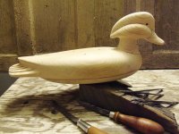 2022 wood duck bare (1).JPG