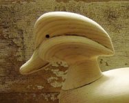 2022 wood duck bare (14) - Copy.JPG