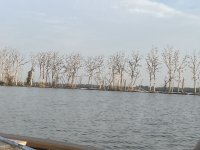 IMG_7477.jpg