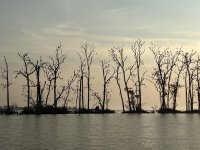 IMG_7476.jpg