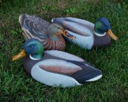 Model 72 Mallards - 3 for SJS.JPG