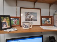 office shot.jpeg