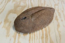 Model 63 Diver body - epoxy + walnut shells.JPG