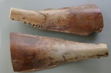 Palm frond dekes 002 (600 x 399).jpg