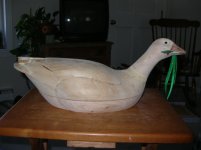 DSCN1051.jpg