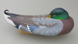 Sleeperdrake4 (600 x 343).jpg