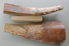 Palm frond dekes 004 (600 x 399).jpg