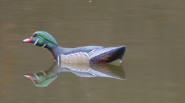 INopener07 012 (600 x 336).jpg