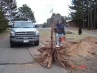truck eagle 005 (Small).jpg