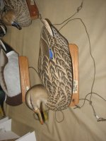 IMG_3588_1_1.JPG IMG_3588_1_1.JPG