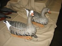 IMG_3591_1_1.JPG IMG_3591_1_1.JPG